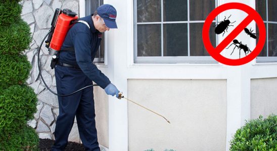 Ayvacık Kene İlaçlama böcek ilaçlama ve haşere kontrolü — ilaclama-tr.com